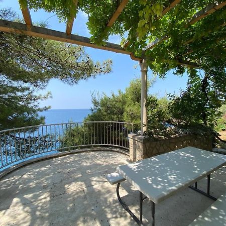 Charming Seafront Stay At Villa Mara Dubrovnik Eksteriør bilde